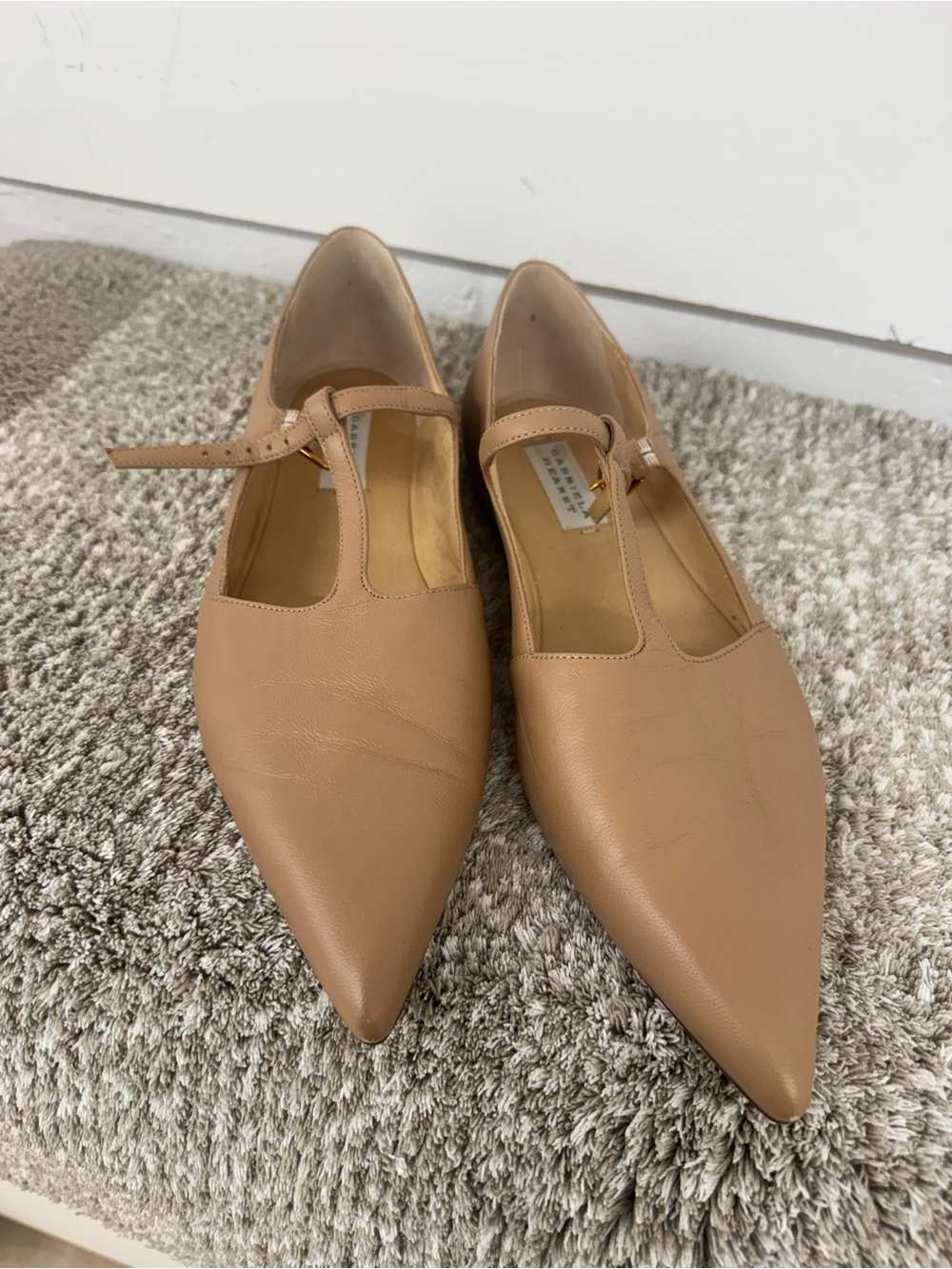 Gabriela Hearst Women's Pointed T-Strap Flats in Nude